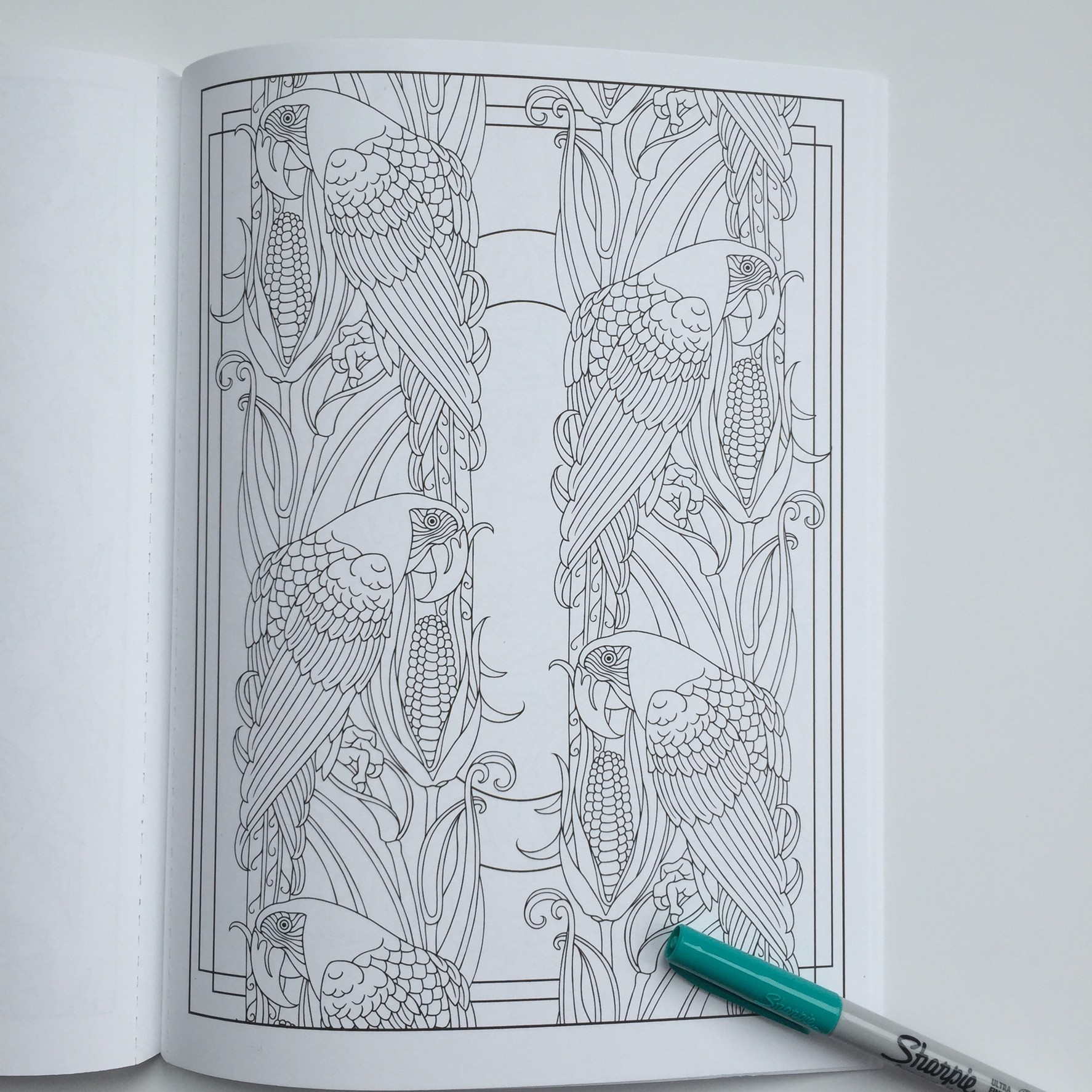 Art Nouveau Animal Designs Coloring Book Review - 2 Old 2 Color